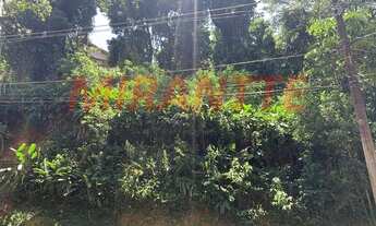 Imagem 2: Terreno em SANTA INÊS