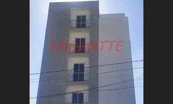 Imagem 3: Apartamento de 38m² com 1 quartos em Nova Cerejeira