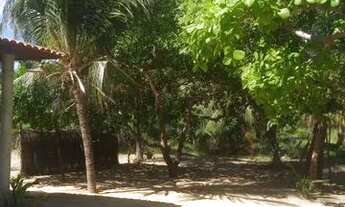 Imagem 7: Casa Em Moitas. 1HVH624