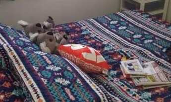 Imagem 5: Apartamento à venda, 2 quartos, 1 vaga, Kennedy - Contagem/MG