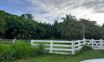 Imagem 5: Fazenda com 240 hectares em Alto Alegre / Roraima, região da Sumaúma, contendo 180 hectare