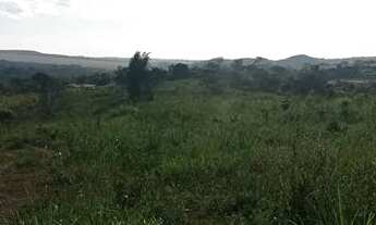 Imagem 3: Chácara 4 alqueires próximo a Anápolis