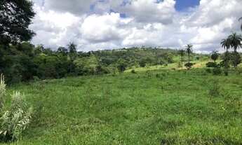 Imagem 4: Vende-se Fazendinhas Águas da Serra