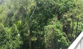 Imagem 5: Apartamento com 2 dormitórios para alugar, 54 m² por R$ 2.140,00/mês - Taquara - Rio de Ja