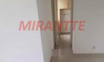 Imagem 3: Apartamento de 47m² com 2 quartos em Vila Amalia