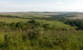 Imagem 2: Chácara 4 alqueires próximo a Anápolis