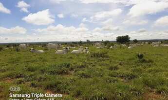 Imagem 7: . Uma fazenda 238 alqueires. 85 km de Pedro Afonso Tocan .. 2