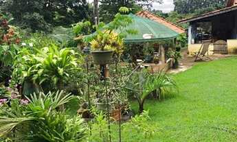 Imagem 5: Sítio de 6 Alqueires Região de Capetinga-MG