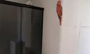 Imagem 3: Apartamento para aluguel com 38 metros quadrados com 2 quartos