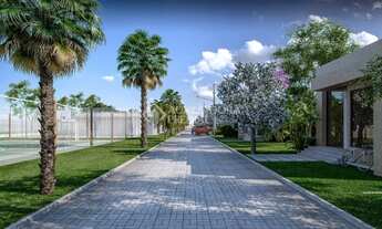 Imagem 4: ELDORADO DO SUL - Terreno Padrão - Sans Souci