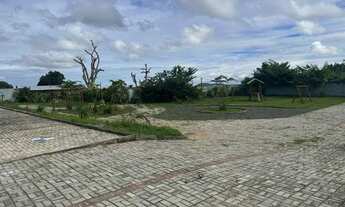 Imagem 2: Excelentes lotes na Pitubinha! Oportunidade!