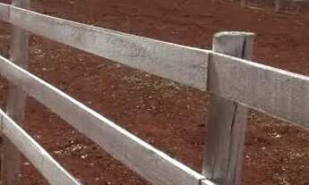 Imagem: Lote de Terreno e chácara Xerém e Adjacência