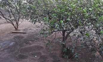 Imagem 2: Casa para venda com 90 metros quadrados com 2 quartos em Loteamento Grande Retiro - Goiâni