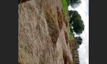 Imagem 2: Vendo Terreno em Sucatinga Berberibe