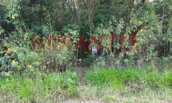 Imagem: Terreno em Serra da Cantareira