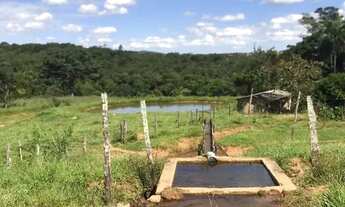 Imagem 3: Fazenda em Perinopolis