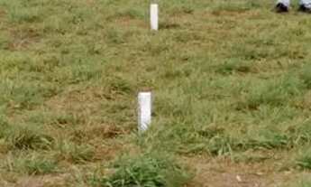 Imagem 3: Vendo terreno em iara R. Pedro Martins, Bento Simões, Irará - 8m X 20m valor 17.000,00