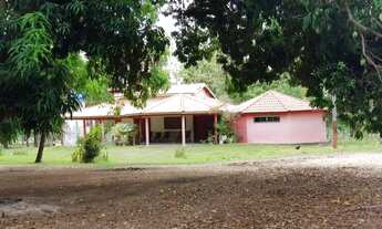 Imagem 7: Fazenda em Campos Lindos. 66 mil por alqueire