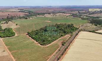 Imagem: 40.22 alqueires - Cana / Beira da rodovia