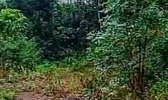 Imagem 7: Cinco mil metros por 100 mil - Área total de quase 52 mil mts escriturada e topográfica