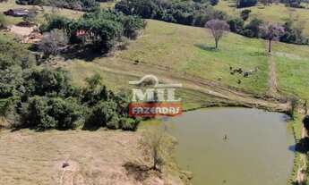 Imagem 5: Fazenda 23 Alqueires ( 111.32 hectares) Caldas Novas-GO