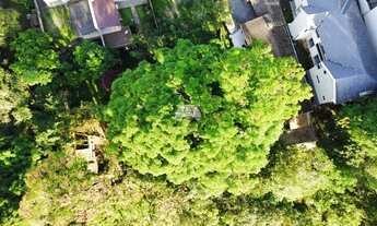 Imagem 5: Vendas Terreno Curitiba PR