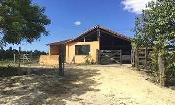 Imagem 4: FAZENDA 52 ALQUEIRES ESTRADA ARARUAMA SÃO VICENTE ARARUAMA/RJ