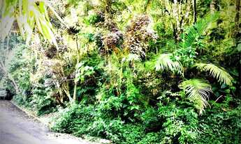 Imagem 6: Terreno à venda em Roseira - SP