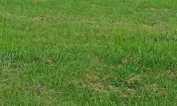 Imagem 5: Jardins Versalhes 328.27 M² Esquina LT Plano