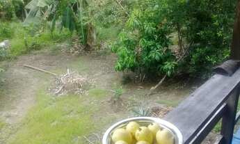 Imagem 7: Janauaca Manaquiri