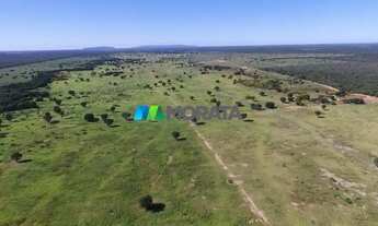 Imagem 4: FAZENDA À VENDA - 2.500 HECTARES - JAÍBA (MG