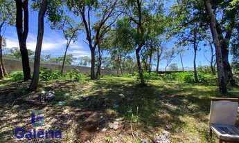 Imagem 7: Terreno para alugar, 5046m² - Recreio Anhanguera