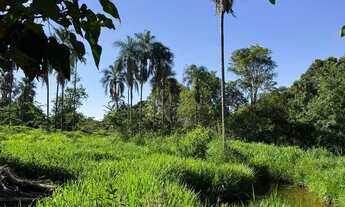 Imagem 2: Chácara próximo a Bela Vista de Goiás