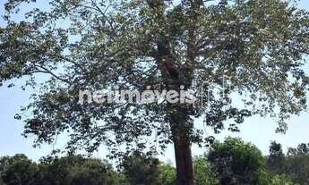 Imagem 4: Venda Lote-Área-Terreno Morada da Barra Vila Velha