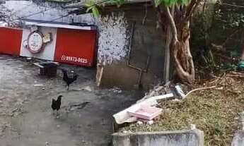 Imagem 2: Terreno em Vila Pereira Barreto - São Paulo