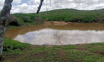 Imagem 7: Fazenda Fazenda / sítio com venda por R$420.000