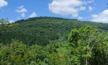 Imagem 7: Lotes em Sítio com Condomínio Fechado - ITACOLOMI