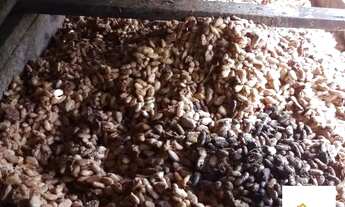 Imagem 7: Áreas à venda em rua pública, ZONA RURAL, Ubatã, BA