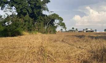 Imagem 5: Vendo 2 lotes no Planalto são José Br 163 R$ 80 mil