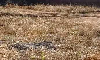 Imagem 3: Vendemos ótimos lotes, no Condomínio Residencial Village II, prox. à DF-230, PLANALTINA