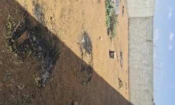 Imagem 2: Lote 26 de Setembro - Condominio