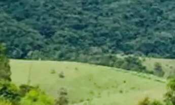 Imagem 2: Lotes na região de São Roque - SP interior