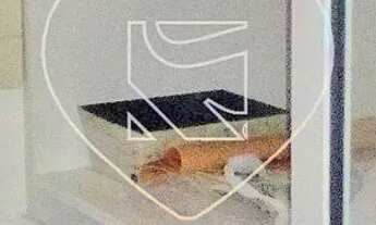 Imagem 4: Apartamento para alugar no Edifício Evidence na Região Sul de Londrina com 2 quartos