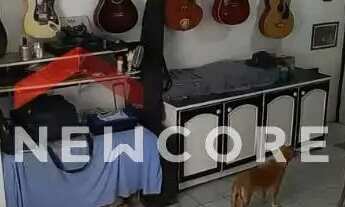 Imagem 7: Apartamento em Rua Professora Sofia Quint de Souza - Capoeiras - Florianópolis/SC