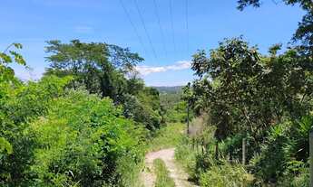 Imagem 5: Terreno 12 hectares em Nova União
