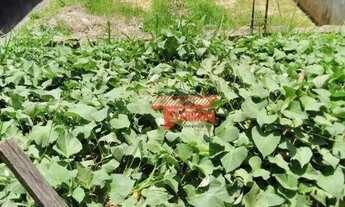 Imagem 3: Terreno à venda, 317 m² por R$ 420.000,00 - Jardim Santo André - Santo André/SP