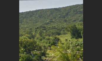 Imagem 6: Sítio de 6,5 hectares escriturado nas Laranjeiras em Osório