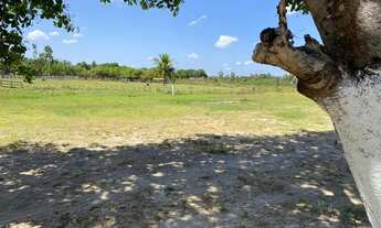 Imagem 6: Sítio à venda - Altos/PI