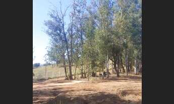 Imagem 7: JAGUARIÚNA - Loteamento/Condomínio - COLINAS DO CASTELO