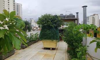 Imagem 3: Salão ( Pizzaria nova montada ) - 232 m² A.U